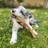 tendon a macher friandise naturelle pour chien chiot education canine positive mastication dent