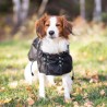 manteau impermeable matelasse pour chien back on track de recuperation physique chien de sport canin