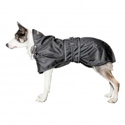 manteau impermeable back on track recuperation chien de sport