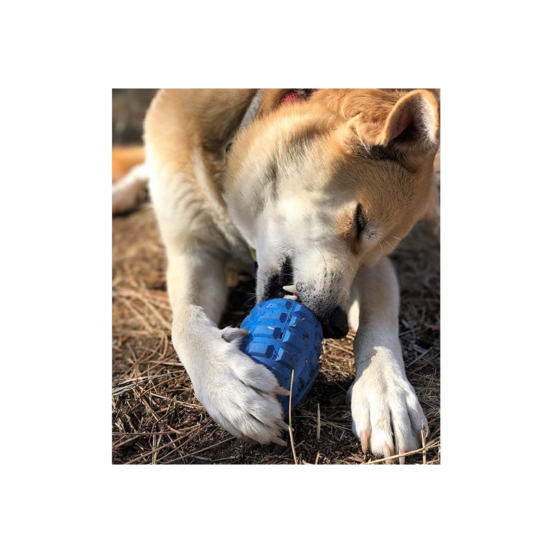 grenade Sodapup jouet d occupation pour chien chiot a garnir de friandise naturelle education positive jouet a fourrer