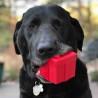 cadeau Soda Pup gift box jouet occupation a macher pour chien chiot