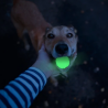 balle phosphorescente 2glow jouet à lancer chien visible nuit solide