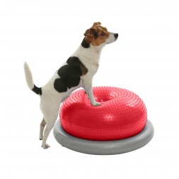 cercle de maintien donut de proprioception chien chiot physio kruuse sport fitness canin fitpaws