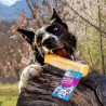 fromage a macher Canigourmand friandise naturelle mastication chien