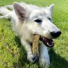 Bois de cerf à macher cani-gourmand pour chien mastication friandise naturelle
