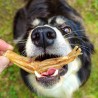 patte de canard a macher cani-gourmand pour chien friandise 100% naturelle mastication occupation