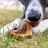 sabot de veau friandise de mastication 100% naturelle a mâcher pour chien chiot cani-gourmand