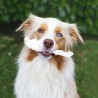 oreille de lapin friandise naturelle pour chien cani-gourmand