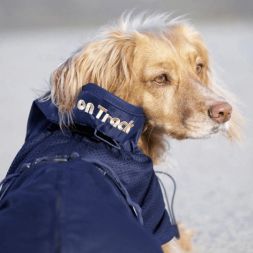manteau filet back on  track pour chien manteau de recuparation sport canin