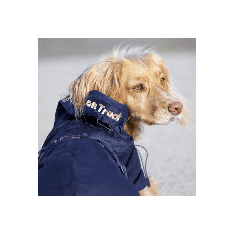 manteau filet back on  track pour chien manteau de recuparation sport canin