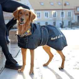 manteau pour chien et chiot back on track recuperation chien de sport