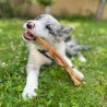 tendon a macher friandise naturelle pour chien chiot education canine positive mastication dent canigourmand