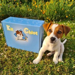 Kit découverte spécial chiot friandises jouets tug éleveur petit chien canigourmand