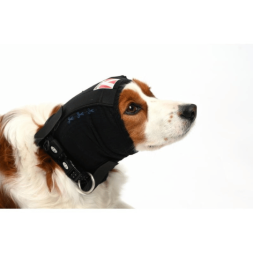 protège oreilles chien toilettage soins vétérinaire pulseur séchage chien