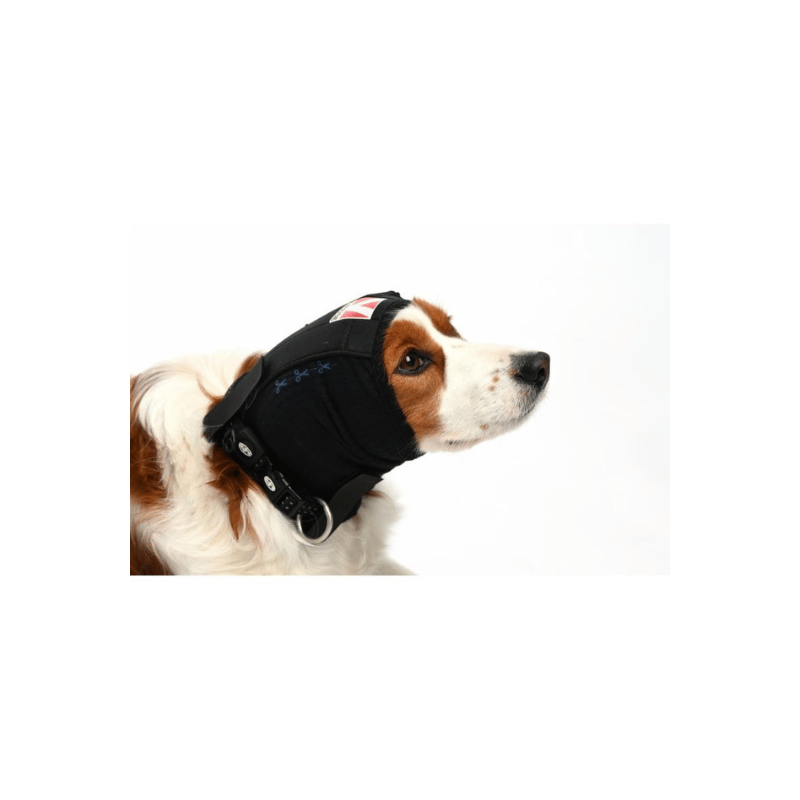 protège oreilles chien toilettage soins vétérinaire pulseur séchage chien