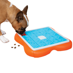 Challenge slider jeu d'intelligence intéractif Nina Ottosson occupation pour chiens