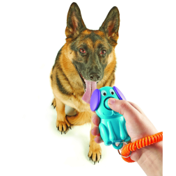 clicker doggy education positive conditionnement
