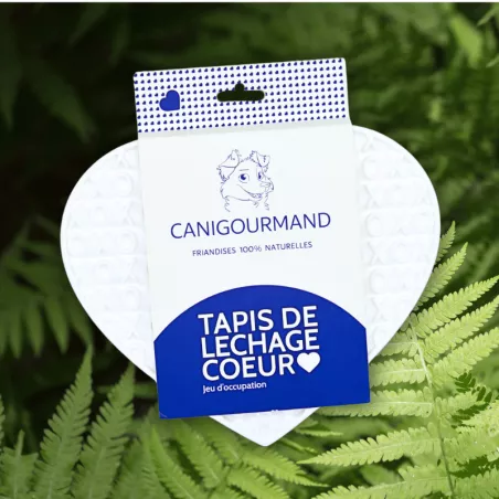 2 Tapis à Lécher Pour Chien Et Chat – 20x20 Cm, Silicone, Ventouses, Sans BPA, Pour Bain Et Toilettage