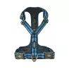 harnais en y bleu pour chien et chiot
