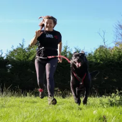 Canigourmand harnais de traction canicross CANI NINJA pour chienn harnais de traction chien long, harnais canicross chien