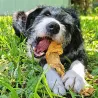 peau de sanglier , mastication naturelle XXL pour chien
