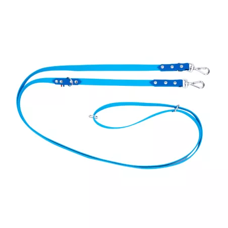 Laisse chien multiposition hexa, laisse 3m pour chien, laisse hexa pour petit chien, laisse petit chien