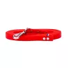 Longe 5m pour chien, longe mantrailing, mantrailing, longe pour chien, longe hexa pour chien