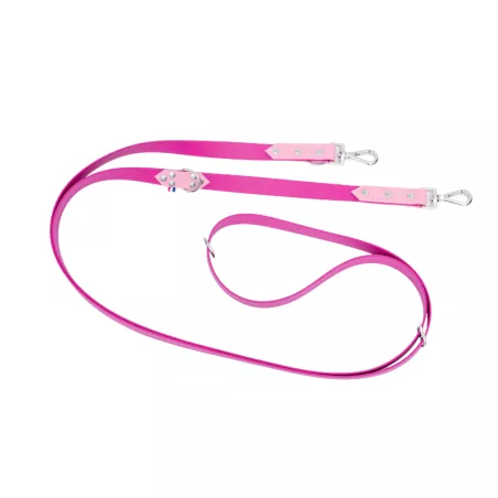 Laisse chien multiposition biothane, laisse multiposition pour chien, laisse 3m pour chien, laisse biothane, laisse résistante