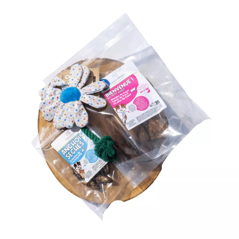 Kit découverte spécial chiot friandises jouets tug éleveur petit chien canigourmand