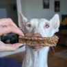 poumon de boeuf séché friandise 100% naturelle pour chien chiot mastication occupation cani-gourmand