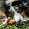 Cou de dinde séché à mâcher , friandise 100%  naturelle pour chiens Canigourmand