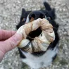 Anneau de kingklip , anneau en peau de poisson, peau de poisson pour chien, mastication chien sensible