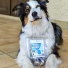 Anneau de kingklip , anneau en peau de poisson, peau de poisson pour chien, mastication chien sensible