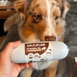 Sauciflair au Sanglier Canigourmand - La Récompense Idéale