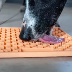 tapis de léchage chien, tapis de léchage avec ventouses, lickimat chien, tapis à lécher pour chien