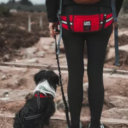 Canigourmand ceinture baudrier de canicross CANI NINJA pour chien