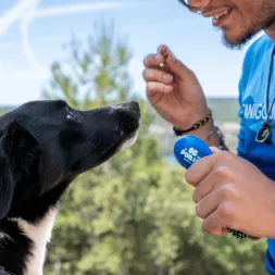 clicker education canine positive chien chiot canigourmand