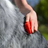 brosse chien poils longs, brosse poils longs