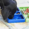 Gamelle antiglouton, jouet d'intelligence pour chien modulable