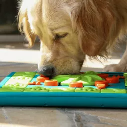 Jeu d'intelligence intéractif occupation distribution friandises pour chiens Nina Ottosson MultiPuzzle canigourmand