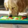 Jeu d'intelligence intéractif occupation distribution friandises pour chiens Nina Ottosson MultiPuzzle canigourmand