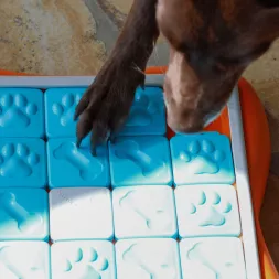 Jeu d'intelligence interactif occupation distribution friandises pour chiens Nina Ottosson Challenge slider, canigourmand