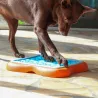Jeu d'intelligence interactif occupation distribution friandises pour chiens Nina Ottosson Challenge slider, canigourmand