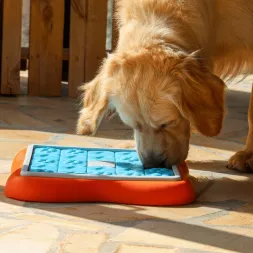 Jeu d'intelligence interactif occupation distribution friandises pour chiens Nina Ottosson Challenge slider, canigourmand
