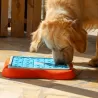 Jeu d'intelligence interactif occupation distribution friandises pour chiens Nina Ottosson Challenge slider, canigourmand