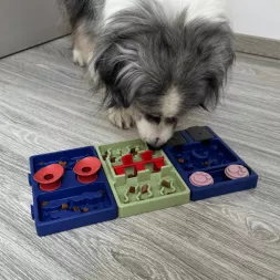 Gamelle antiglouton, jouet d'intelligence pour chien modulable