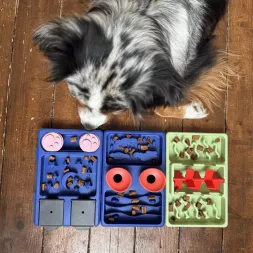 Gamelle antiglouton, jouet d'intelligence pour chien modulable