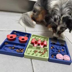 Gamelle antiglouton, jouet d'intelligence pour chien modulable