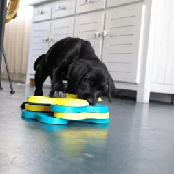 jeu mental pour chien, jouets pour chiens intelligents, tornado Nina ottosson