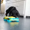 jeu mental pour chien, jouets pour chiens intelligents, tornado Nina ottosson